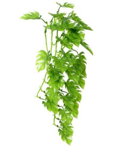 Hobby - Climber Philo - 37 cm - s.s.