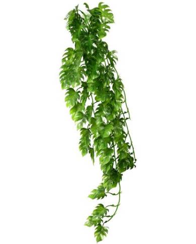 Hobby - Climber Philo - 70 cm - s.s.