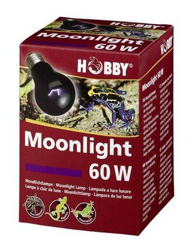 *FCY* HOBBY Moonlight 60 W