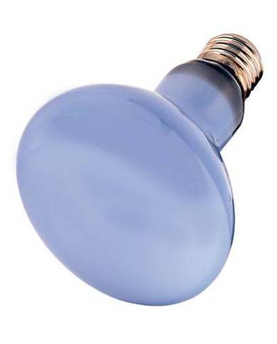 *SC* HOBBY Neodymium Daylight eco 42w ---Remplace HO37352---
