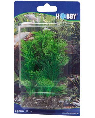 Hobby - Egeria - 13 cm - s.s.