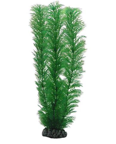 Hobby - Egeria - 20 cm - s.s.