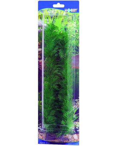 Hobby - Egeria - 34 cm - s.s.