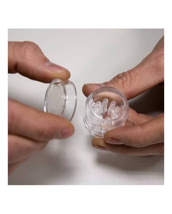 Hobby - Planaria X  - Piège à planaires