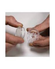 Hobby - Planaria X  - Piège à planaires