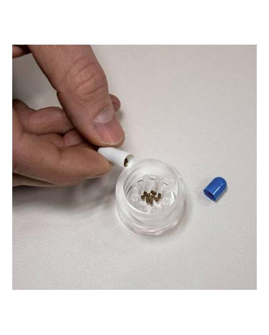 Hobby - Planaria X  - Piège à planaires