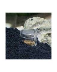 Hobby - Planaria X  - Piège à planaires