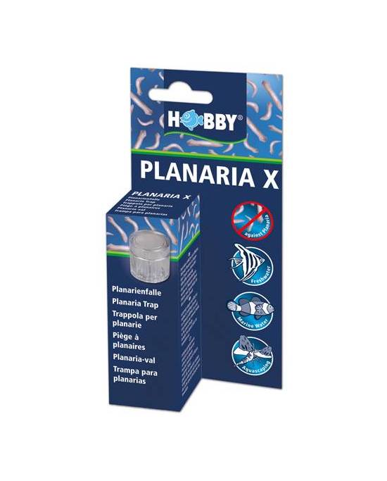 Hobby - Planaria X  - Piège à planaires
