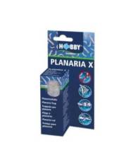 Hobby - Planaria X  - Piège à planaires