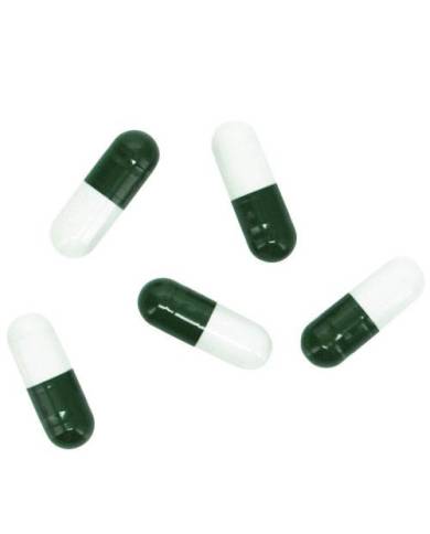 Hobby - Planaria X -  Special Bait - 5pcs