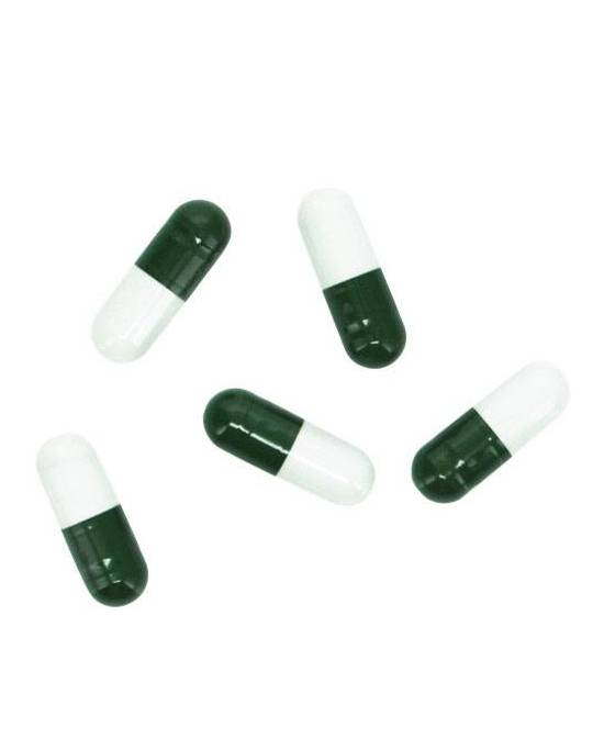 Hobby - Planaria X -  Special Bait - 5pcs