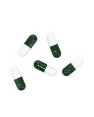 Hobby - Planaria X -  Special Bait - 5pcs