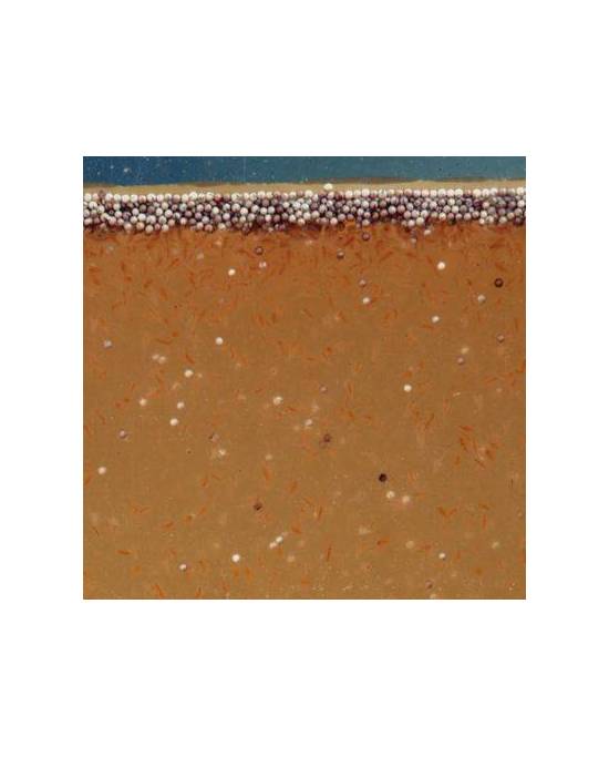 JBL - ArtemioPur - 40mL