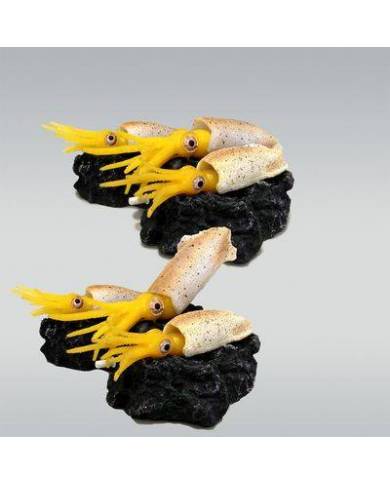 *FCY* (2)JBL ActionAir Lucky Calamari