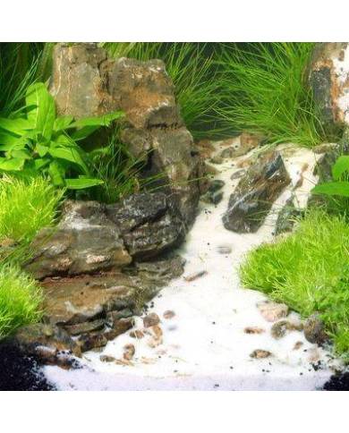 (2)JBL Sansibar WHITE 5kg
