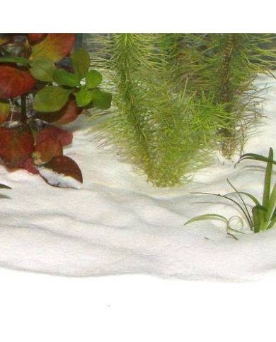 (2)JBL Sansibar SNOW 5 Kg