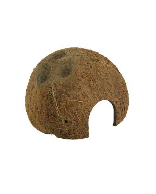 JBL - Cocos Cava 1/2 - L