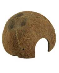 JBL - Cocos Cava 1/2 - L