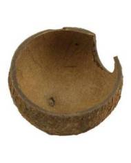 JBL - Cocos Cava 1/2 - L