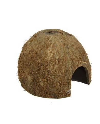 JBL - Cocos Cava 1/2 - M