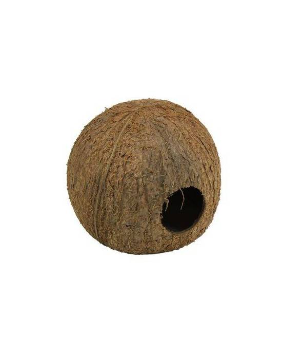 JBL - Cocos Cava 3/4 - L