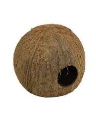 JBL - Cocos Cava 3/4 - L