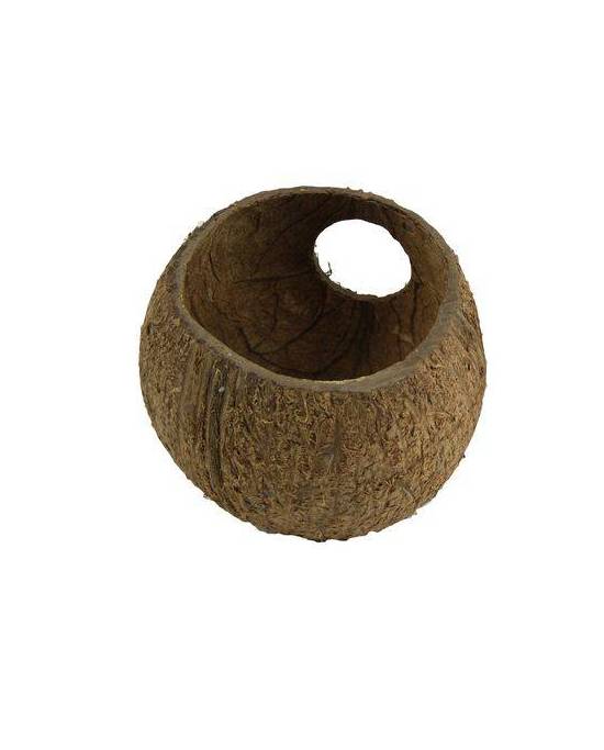 JBL - Cocos Cava 3/4 - L