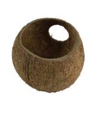 JBL - Cocos Cava 3/4 - L