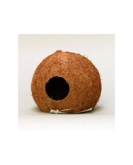 JBL - Cocos Cava 3/4 - L