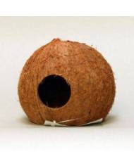 JBL - Cocos Cava 3/4 - L