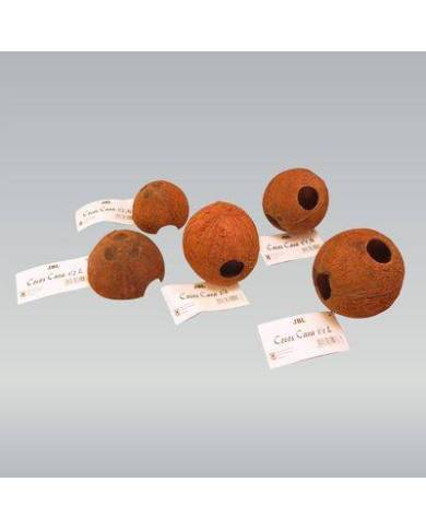 JBL - Cocos Cava 1/1 - L