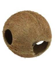 JBL - Cocos Cava 1/1 - M