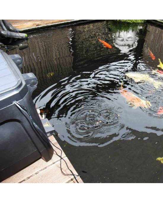 JBL - ProPond AutoFood