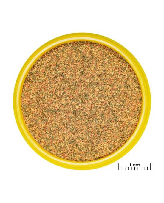 JBL - ProNovo Bel Grano XXS - 100mL - CLICK