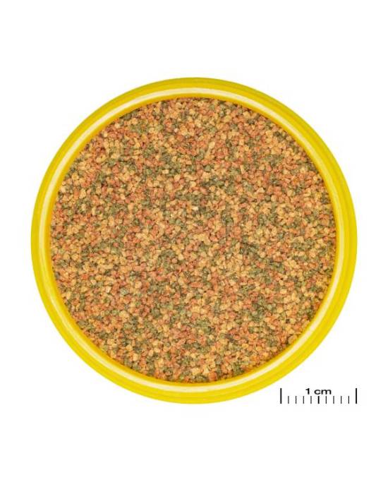 JBL - ProNovo Bel Grano XS - 100mL - CLICK