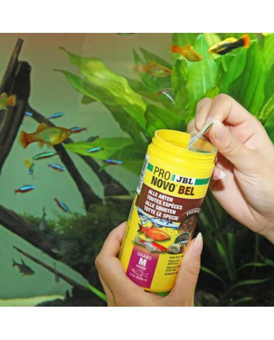 JBL - ProNovo Bel Grano M - 250mL - CLICK