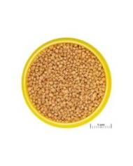 JBL - Pronovo Cichlid Grano S - 100mL - CLICK