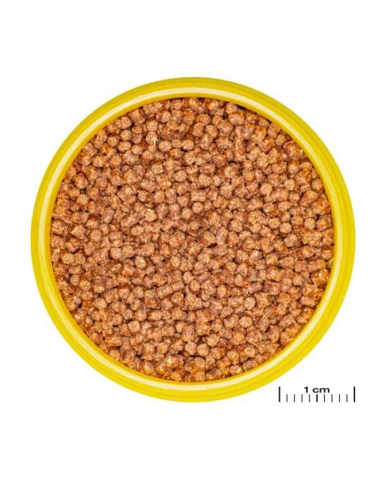 JBL - ProNovo Fantail Grano S - 100mL - CLICK