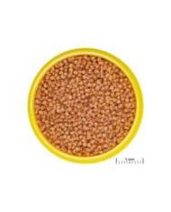 JBL - ProNovo Fantail Grano S - 100mL - CLICK