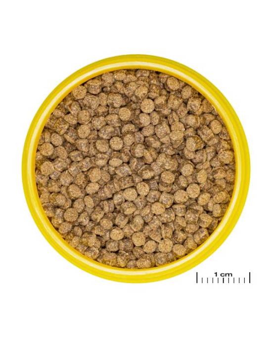 JBL - ProNovo Fantail Grano M - 100mL - CLICK