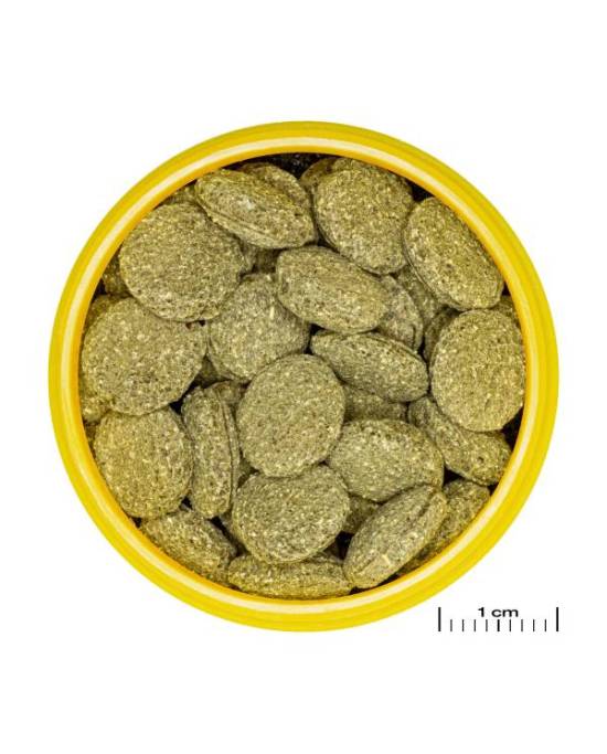 JBL - ProNovo Pleco Wafer M - 250mL
