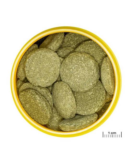 JBL - ProNovo Pleco Wafer XL - 250mL