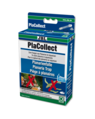 JBL - PlaCollect - Piége à planaires