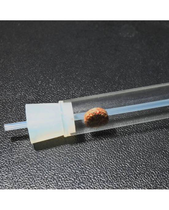 JBL - PlaCollect - Piége à planaires