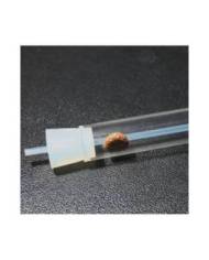 JBL - PlaCollect - Piége à planaires