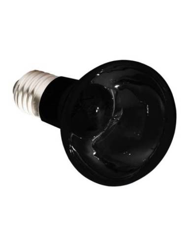 Komodo - Nightglow spot lamp ES - 75W