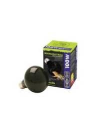 Komodo - Nightglow spot lamp ES - 100W