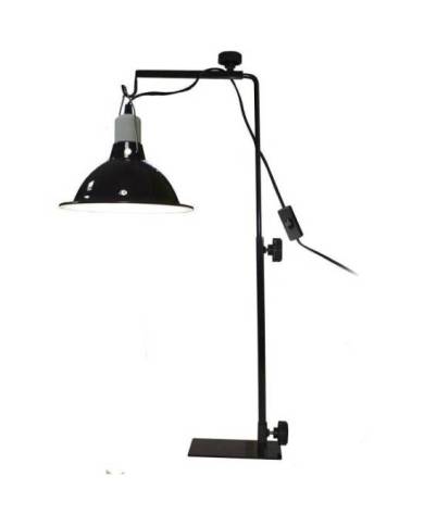 Light Stand