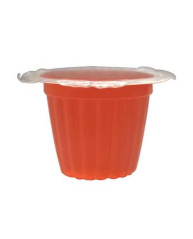 Komodo - Jelly Pots Fraise - 60 pcs