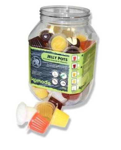 Komodo - Jelly Pots Mixed Flavours - 60 pcs